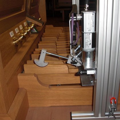Pressing in between of the black pedal (Göckel-organ in Berau)